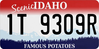 ID license plate 1T9309R