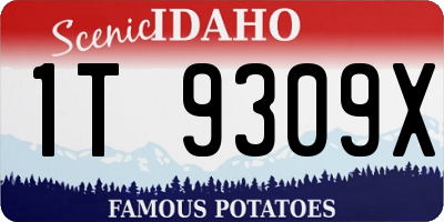 ID license plate 1T9309X