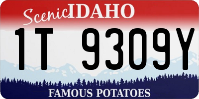 ID license plate 1T9309Y