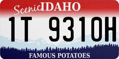 ID license plate 1T9310H