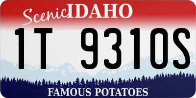 ID license plate 1T9310S