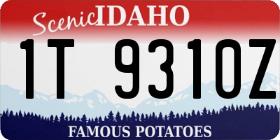 ID license plate 1T9310Z