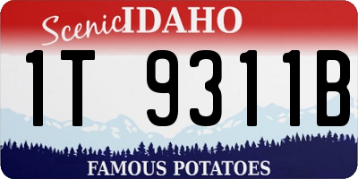ID license plate 1T9311B