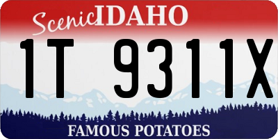 ID license plate 1T9311X