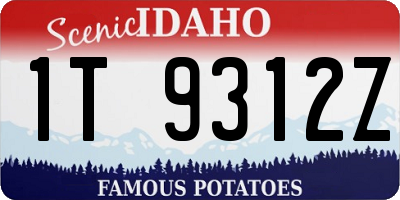 ID license plate 1T9312Z