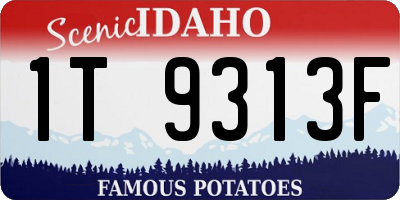 ID license plate 1T9313F