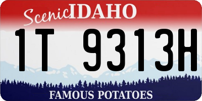 ID license plate 1T9313H