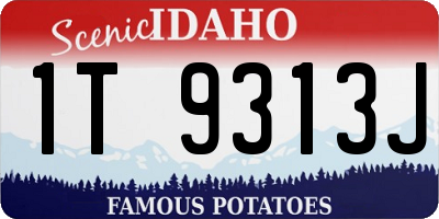 ID license plate 1T9313J