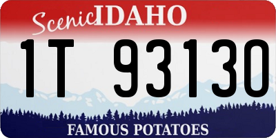 ID license plate 1T9313O