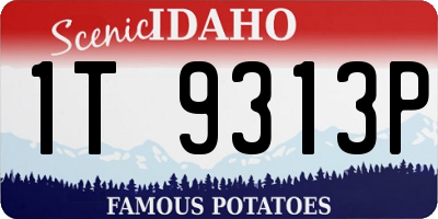 ID license plate 1T9313P