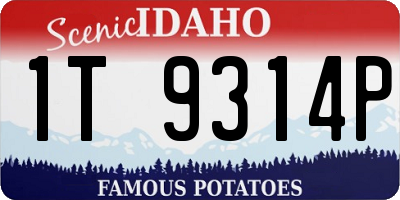 ID license plate 1T9314P