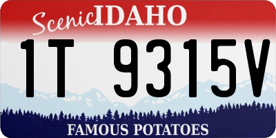ID license plate 1T9315V