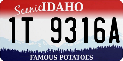 ID license plate 1T9316A