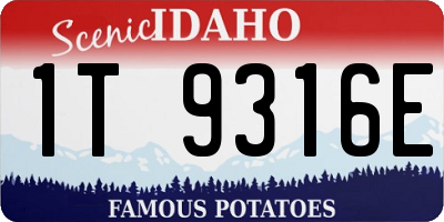 ID license plate 1T9316E