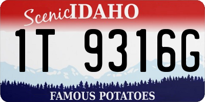 ID license plate 1T9316G