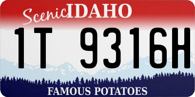 ID license plate 1T9316H