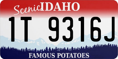 ID license plate 1T9316J