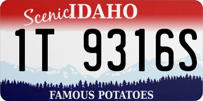 ID license plate 1T9316S