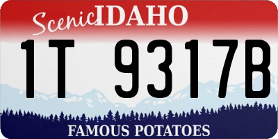 ID license plate 1T9317B