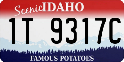 ID license plate 1T9317C