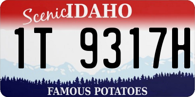 ID license plate 1T9317H