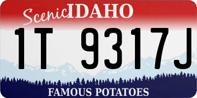 ID license plate 1T9317J