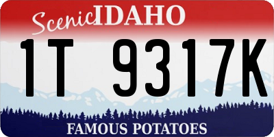 ID license plate 1T9317K