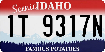 ID license plate 1T9317N