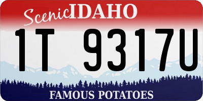 ID license plate 1T9317U