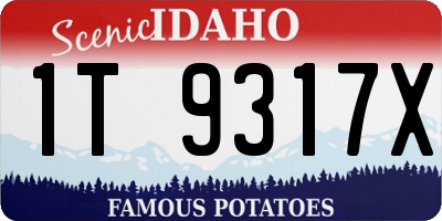 ID license plate 1T9317X