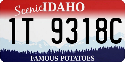 ID license plate 1T9318C