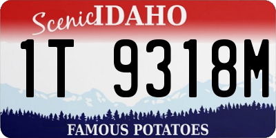 ID license plate 1T9318M