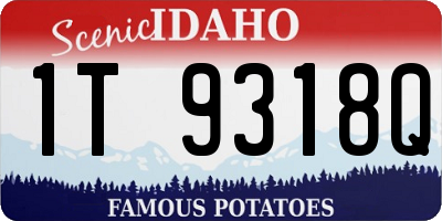 ID license plate 1T9318Q