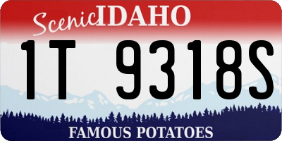 ID license plate 1T9318S