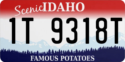 ID license plate 1T9318T