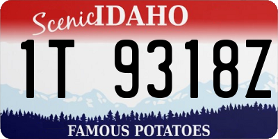 ID license plate 1T9318Z