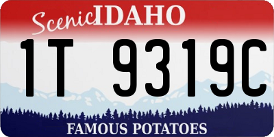 ID license plate 1T9319C