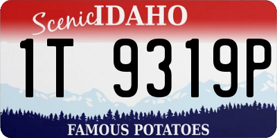 ID license plate 1T9319P