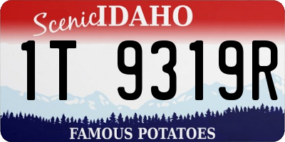 ID license plate 1T9319R