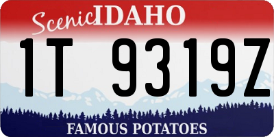 ID license plate 1T9319Z