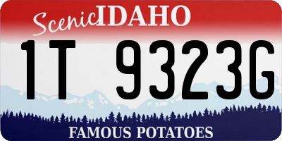 ID license plate 1T9323G