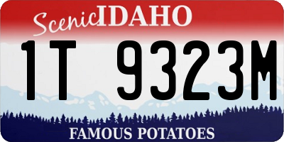 ID license plate 1T9323M