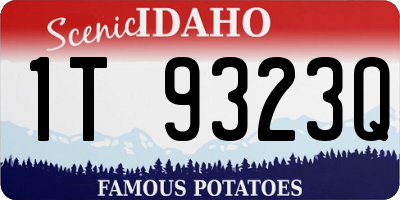 ID license plate 1T9323Q