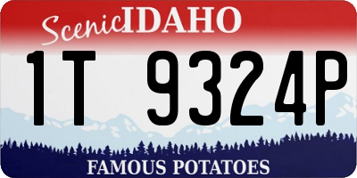 ID license plate 1T9324P