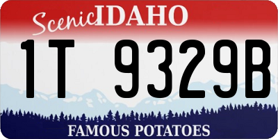 ID license plate 1T9329B