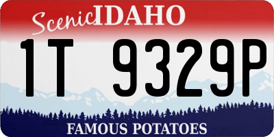 ID license plate 1T9329P