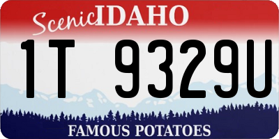 ID license plate 1T9329U