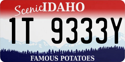 ID license plate 1T9333Y
