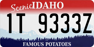 ID license plate 1T9333Z