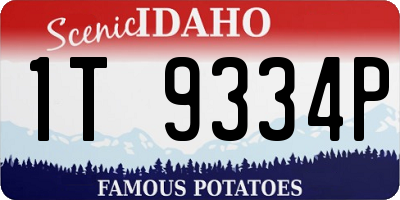 ID license plate 1T9334P